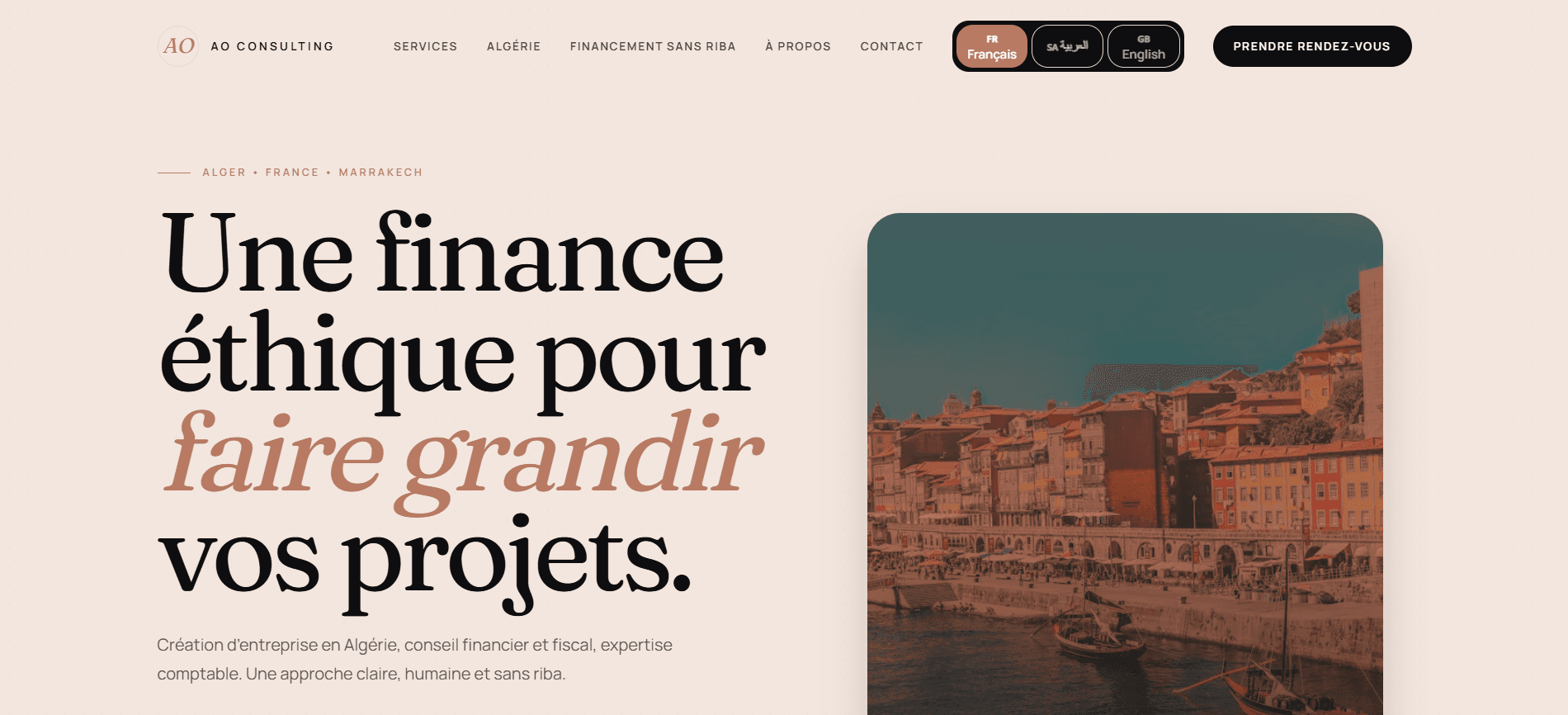 AO Consulting: Consultancy introduction